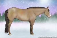 Horse Color:Classic Champagne Splash
