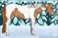 Horse Color:Chestnut Tobiano 