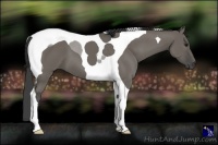Horse Color:Smoky Grullo Tobiano 