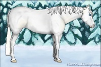 Horse Color:Perlino Roan Dun Splash Tobiano 