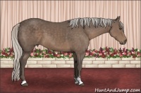 Horse Color:Silver Black Sabino