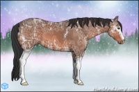 Horse Color:White Spotted Bay Ice 
