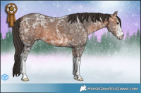 Horse Color:White Spotted Bay Ice 