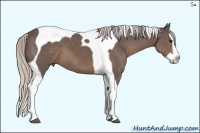 Horse Color:Silver Black Sabino Splash Tobiano