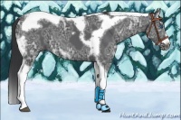 Horse Color:Black Ice Splash Tobiano Frame 