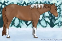 Horse Color:Chestnut Tobiano