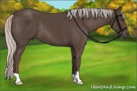 Horse Color:Silver Black 