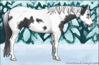 Horse Color:Smoky Black Splash Tobiano Frame 