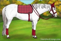 Horse Color:Black Splash Blanket