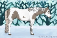 Horse Color:Silver Grullo Splash Tobiano Frame