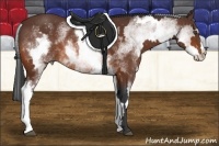 Horse Color:White Spotted Bay Frame Rabicano