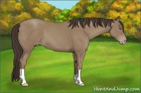 Horse Color:Classic Champagne 