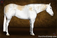 Horse Color:White Spotted Silver Amber Champagne Dun Splash 