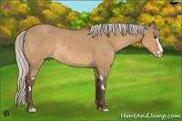 Horse Color:Silver Bay Dun Sabino Splash Frame Rabicano