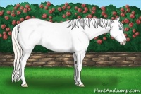 Horse Color:Perlino Dun Tobiano Varnish