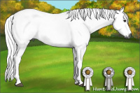 Horse Color:Gray Buckskin Tobiano 