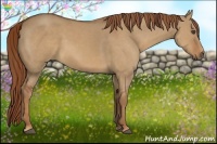 Horse Color:Red Dun Rabicano 