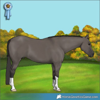Horse Color:Smoky Grullo 
