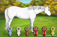 Horse Color:Gray Silver Black Tobiano 