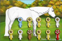 Horse Color:Gray Silver Bay Tobiano