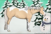 Horse Color:Silver Amber Champagne Splash Tobiano