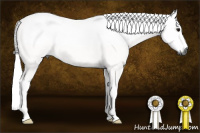 Horse Color:Gray Bay Roan