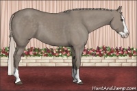 Horse Color:Silver Grullo Splash