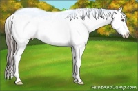 Horse Color:Blue Roan Sabino Splash Blanket 