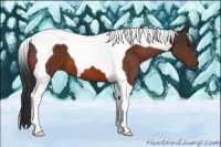 Horse Color:Bay Tobiano