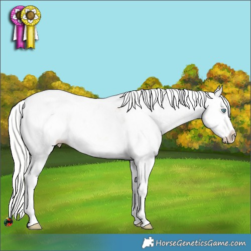 Horse Color:Silver Sable Champagne Ice Pearl Sabino Splash 