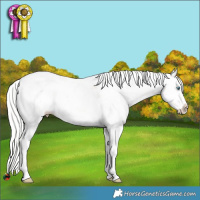 Horse Color:Silver Sable Champagne Ice Pearl Sabino Splash 