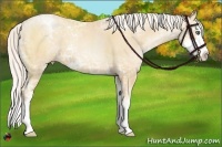 Horse Color:Silver Sable Champagne Ice Pearl Sabino Splash 
