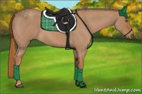 Horse Color:Red Roan 
