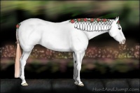 Horse Color:Bay Roan Dun Blanket