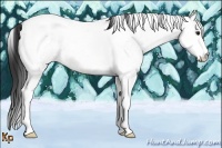 Horse Color:White Spotted Bay Tobiano