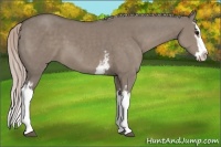Horse Color:White Spotted Silver Grullo Sabino Splash 