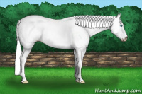 Horse Color:Gray White Spotted Smoky Creme 