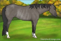 Horse Color:Smoky Grullo Rabicano 