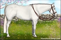 Horse Color:Perlino Dun 