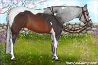 Horse Color:Brown Sabino Tobiano