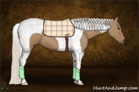 Horse Color:Silver Buckskin Tobiano 