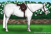 Horse Color:Silver Classic Champagne Roan Dun Splash Tobiano Frame Appaloosa Rabicano