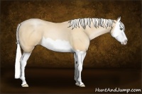 Horse Color:Silver Amber Champagne Pearl Splash