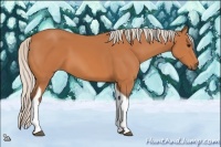 Horse Color:Silver Bay Tobiano