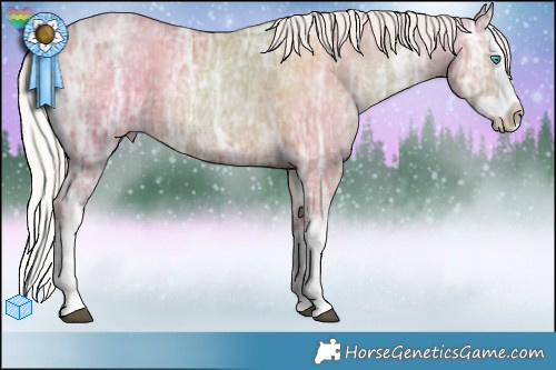 Horse Color:White Spotted Silver Black Ice Pearl Splash 