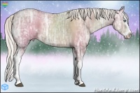 Horse Color:White Spotted Silver Black Ice Pearl Splash 