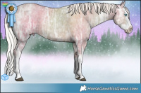 Horse Color:White Spotted Silver Black Ice Pearl Splash 