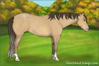 Horse Color:Amber Cream Champagne