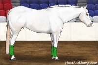 Horse Color:Chestnut Splash Tobiano Varnish Rabicano 