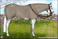 Horse Color:Silver Smoky Grullo Sabino Splash 